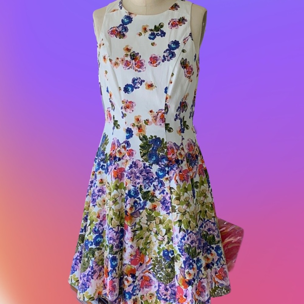 Maggy London Floral Print A-Line Sleeveless Dress
